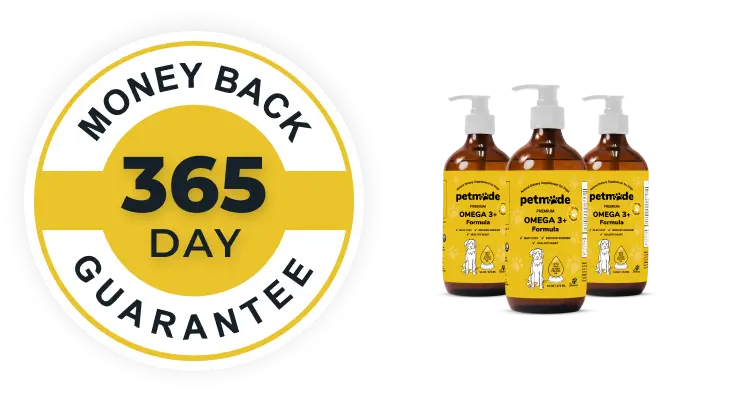 Omega 3+ Formula bottles